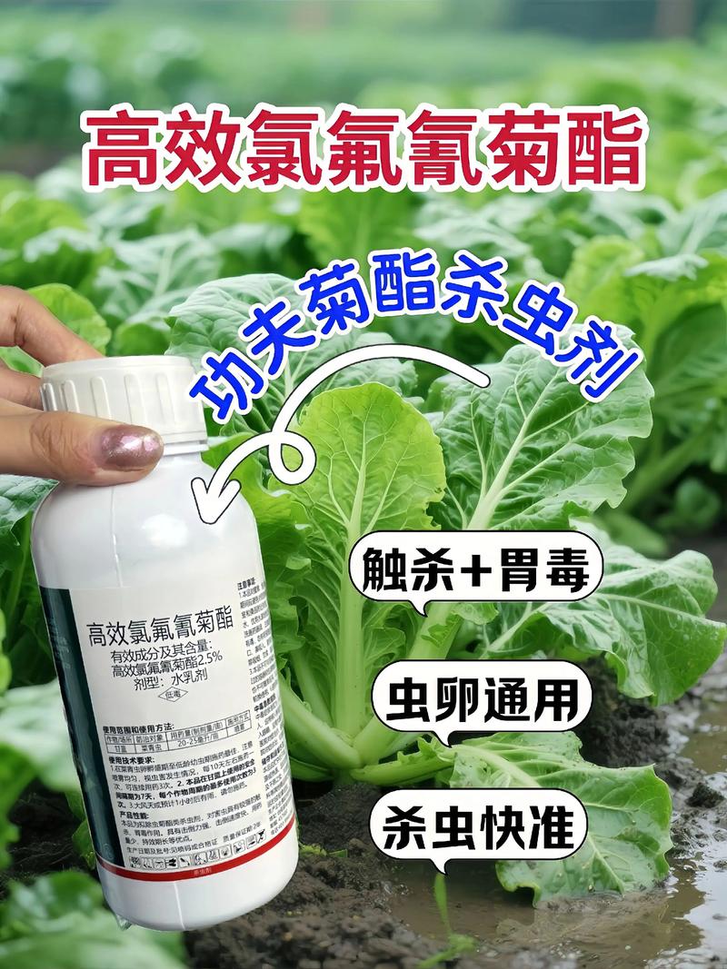 云浮代生中心:农药对供卵代生妈妈的危害